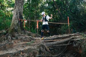 BIB: 
                            <button type="button" onclick="openModal(27754241)" class="btn btn-primary btn-sm float-right btn-popup" data-toggle="modal" data-target=".modal-high-quality">
                        <i class="fas fa-shopping-cart"></i> Add to Cart
                    </button>
                                            <button type="button" onclick="isThisMe(27754241, true)" class="btn btn-success btn-sm float-right btn-popup btn-isme hidden" data-toggle="tooltip" data-placement="bottom" title="นี่คือรูปของคุณใช่ไหม คลิกที่นี่เพื่อเอาเข้าอัลบั้ม">
                        <i class="fas fa-plus"></i> Add to album
                    </button>
                    <button type="button" onclick="isThisMe(27754241, false)" class="btn btn-warning btn-sm float-right btn-popup btn-isnotme hidden">
                        <i class="fas fa-ban"></i> Remove from album
                    </button>